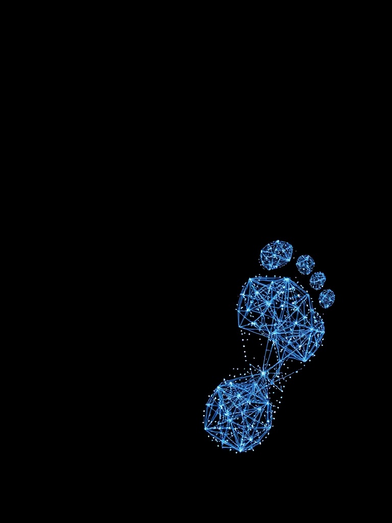 Digital Footprint image